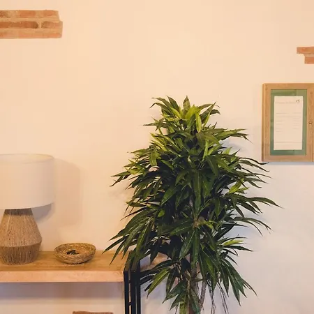 Semana Que Tus Hijos Recordaran Toda La Vida Semesterbostad *