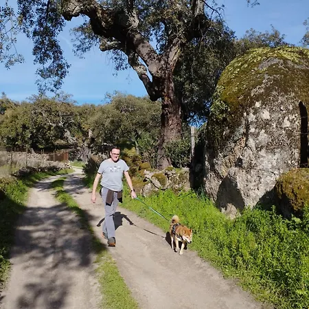 Semana Que Tus Hijos Recordaran Toda La Vida Semesterbostad
