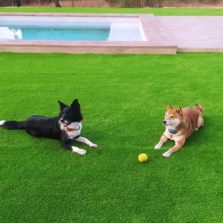 Una Semana Que Tus Hijos Recordaran Toda La Vida Vakantiehuis San Vicente de Alcántara