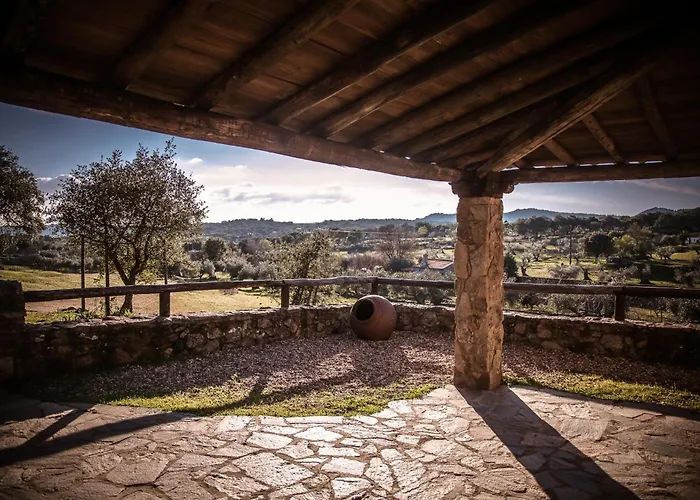 Semana Que Tus Hijos Recordaran Toda La Vida