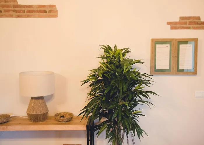 Semana Que Tus Hijos Recordaran Toda La Vida *