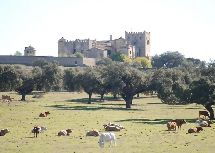 Semana Que Tus Hijos Recordaran Toda La Vida Vakantiehuis